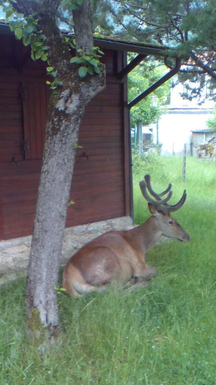 Appartamenti De Sanctis Villetta Barrea Exteriör bild